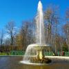 Большой фонтан аллеи фонтанов. Нижний парк, Петергоф. :: Лия ☼