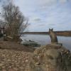 Плес Памятник  любимой кошке местного художника :: Ninell Nikitina