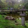 .. поиски цветущей сакуры в японском саду... :: galalog galalog