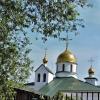 Купола Свято-Троицкого собора... :: Мария Васильева