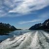 Ein Sommer im Nordpolarmeer / Norwegen / :: "The Natural World" Александер