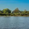 The village of Pakhotino from the side of the Sukhona River on a September day | 1 :: Sergey Sonvar