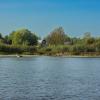 The village of Pakhotino from the side of the Sukhona River on a September day | 3 :: Sergey Sonvar