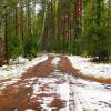 В последний день осени. :: Милешкин Владимир Алексеевич 