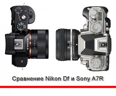 Сравнение фото камер Nikon Df и Sony A7R