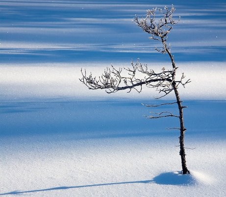 Урок фотографии. Как снимать зимой, полезные советы