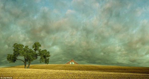 Реализм и абстракция фото пейзажей Лизы Вуд (Lisa Wood)