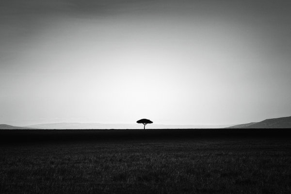 Таинственная тишина в черно-белых фото