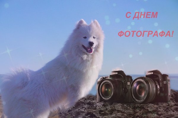 с днем фотографа!