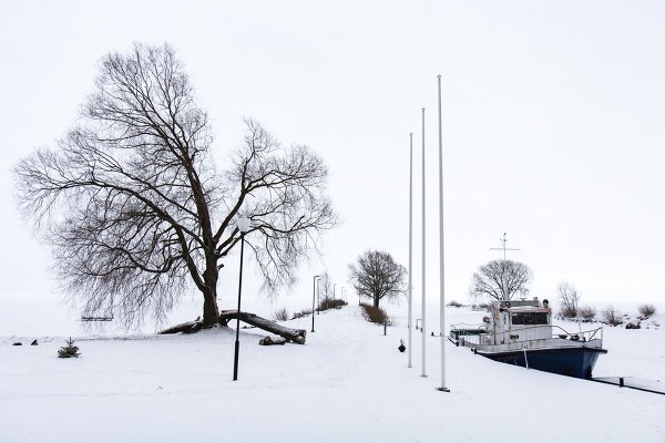 Студенческое фото недели: "Зимний пейзаж", Татьяна Леина http://disted.ru/