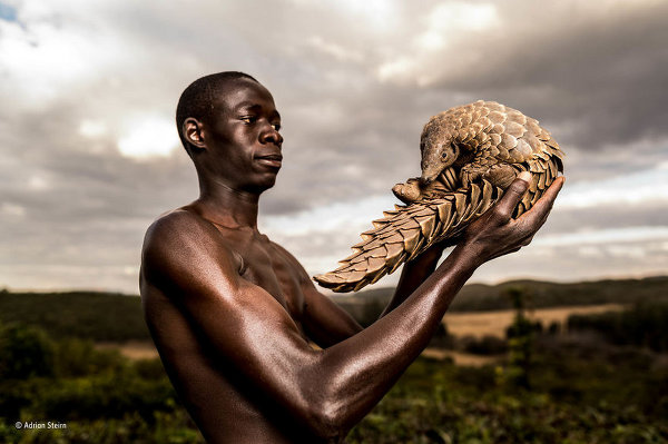 Wildlife Photographer of the Year 2017