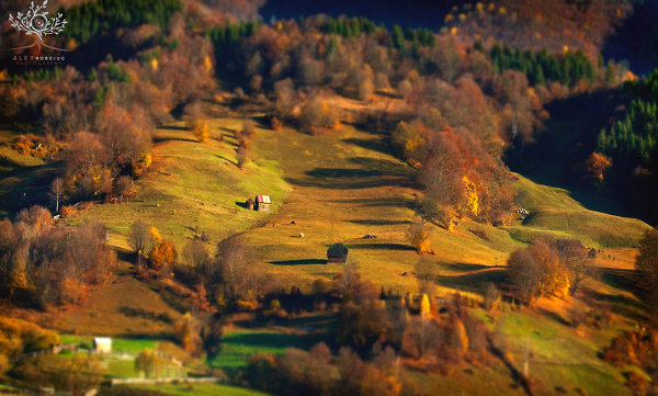 Фотограф Алекс Робчук