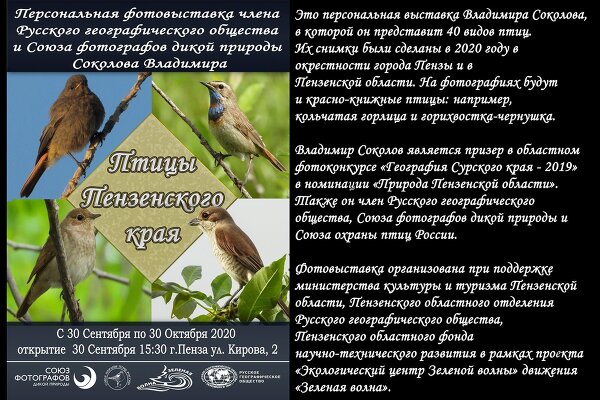 Моя первая фото-выставка! «Птицы Пензенского края»
