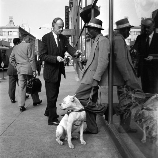 Фотограф Вивиан Майер (Vivian Maier) (рубрика "Вдохновение") - №38