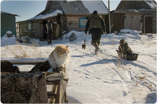Татьяна Выборнова - Жизнь жёлтого кота-рыбака (http://fotokto.ru/id93384)