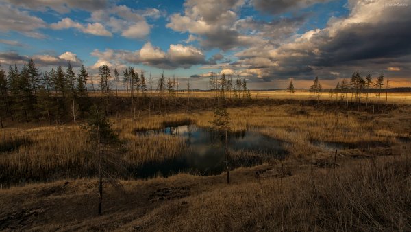 Фототур по Подмосковью на майские праздники - один день - №21