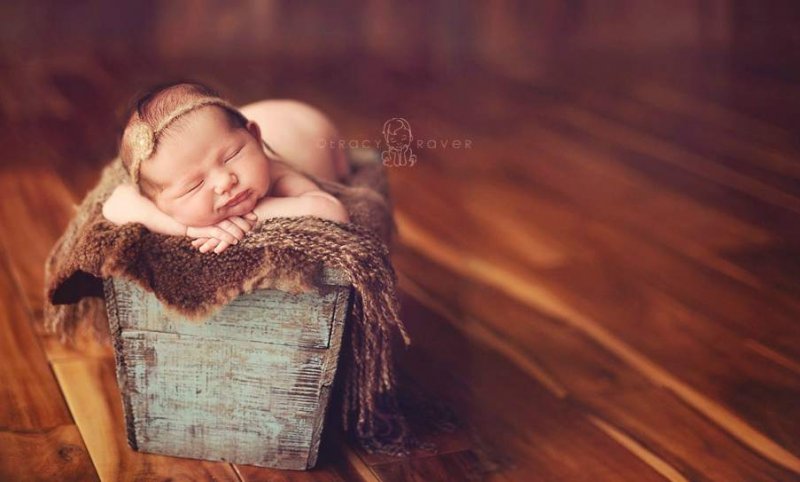 Спящие младенцы в фотографиях Трейси Рейвер - №11