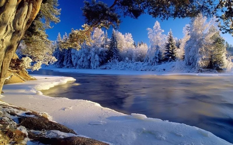 Фото зимний пейзаж
