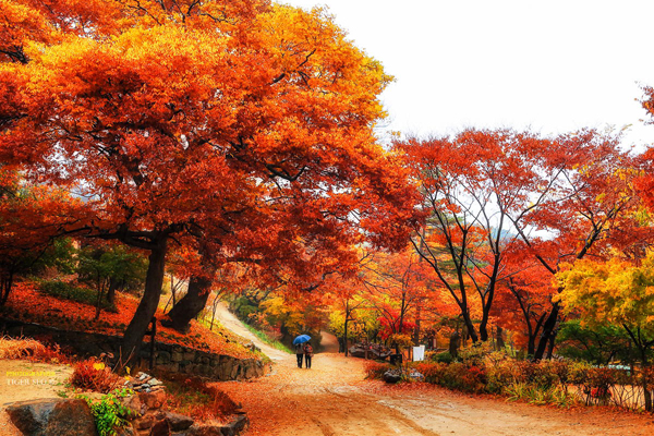 Невероятные корейские пейзажи. - №12