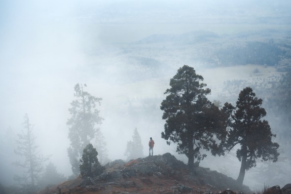 Elizabeth Gadd - №1