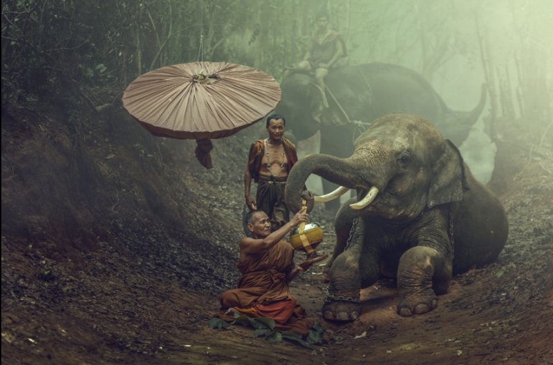 "Азия" в фотографиях Jakkree Thampitakku - №17