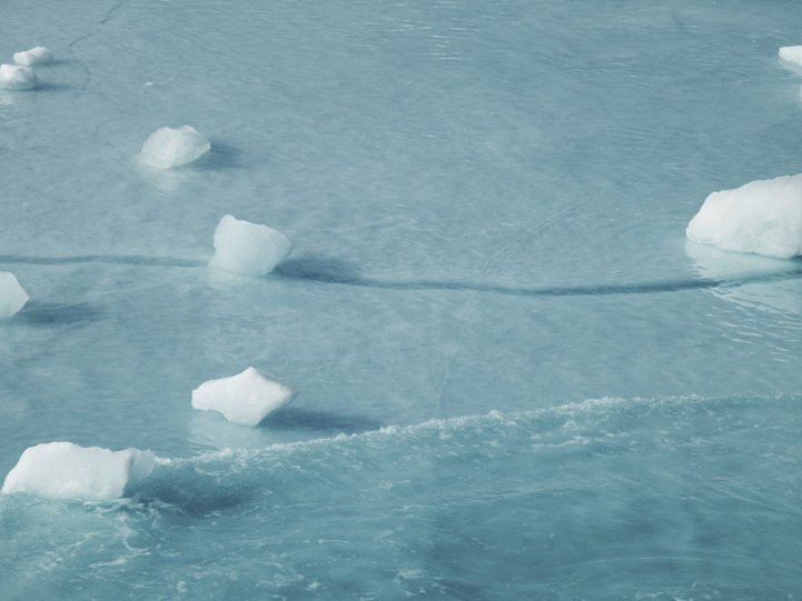 Арктика в фотографиях Дайан Тафт - №5