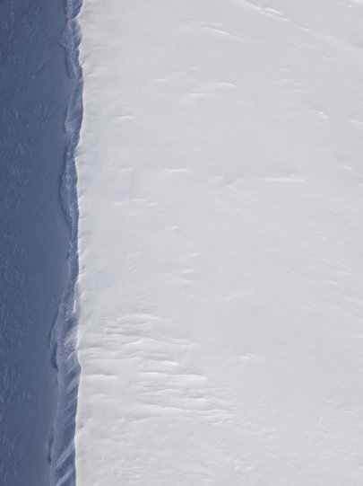 Арктика в фотографиях Дайан Тафт - №21