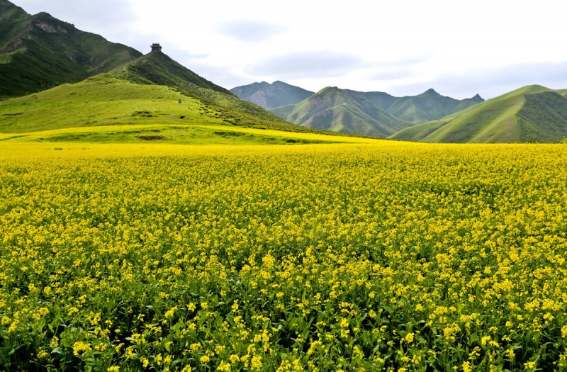 Красивые пейзажи китайской провинции Ганьсу - №3