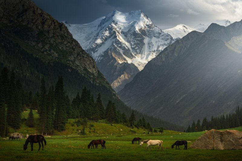 Потрясающие пейзажи Киргизии - №2