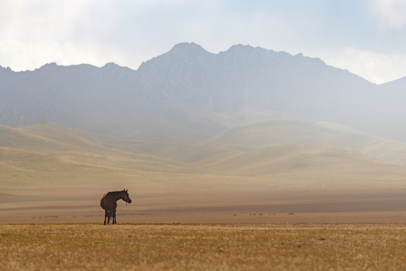 Потрясающие пейзажи Киргизии - №23