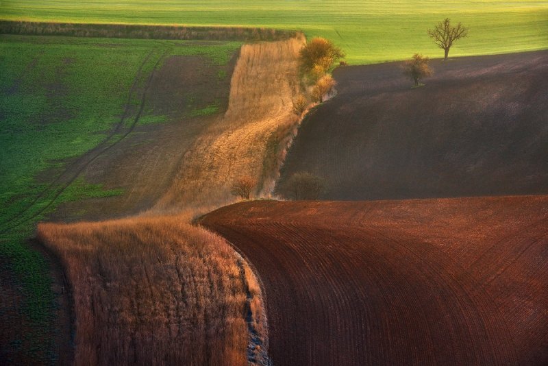 Фотограф Гжегож Левандовски - №6