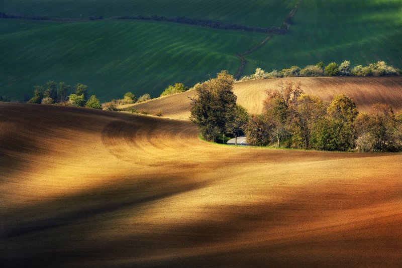 Фотограф Гжегож Левандовски - №14