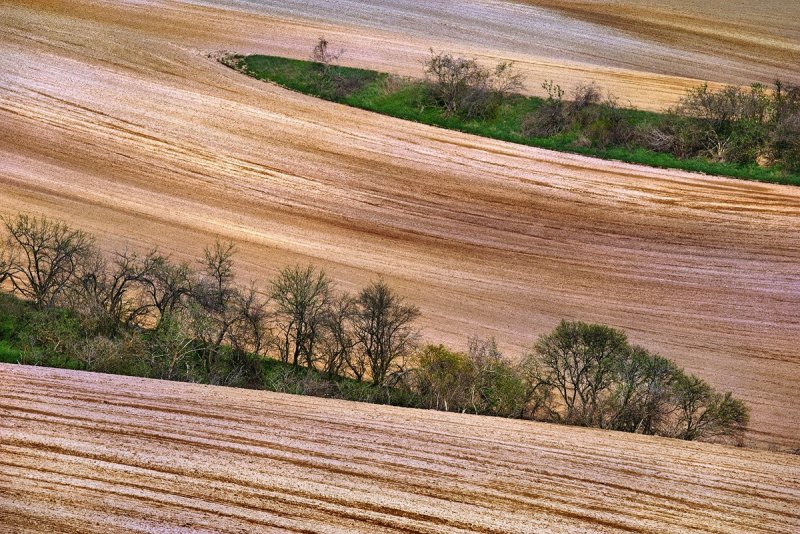 Фотограф Гжегож Левандовски - №27