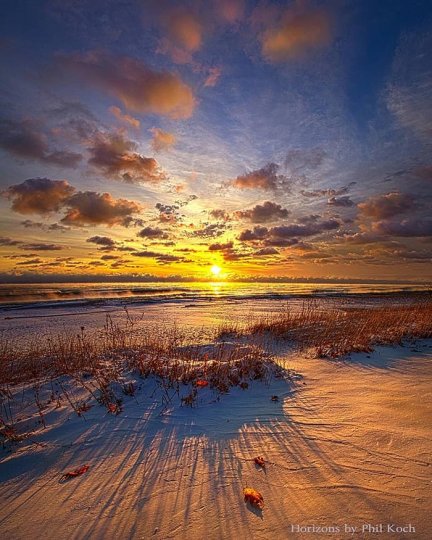 Phil Koch - №3