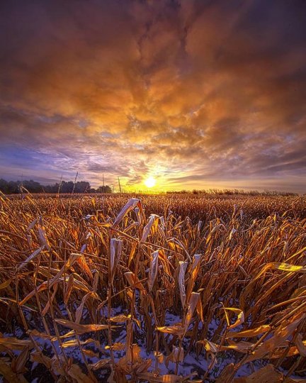 Phil Koch - №7