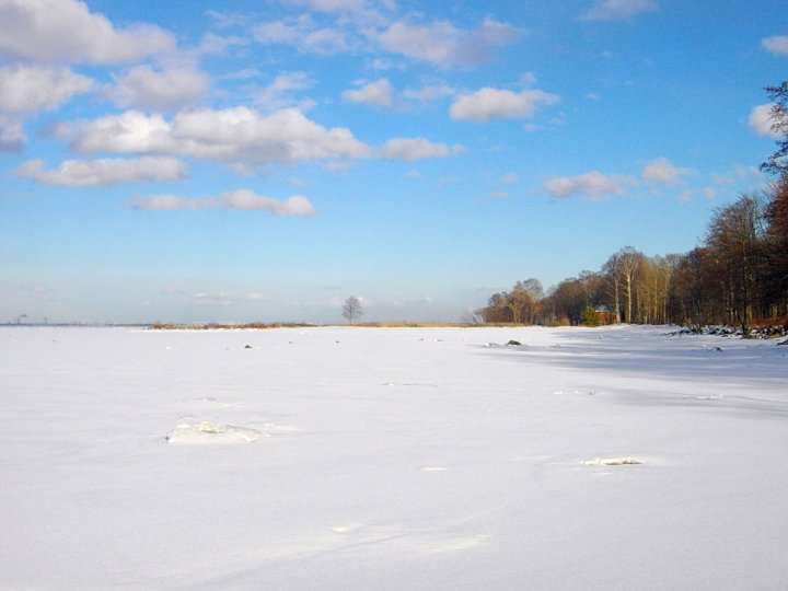 Снежная целина.