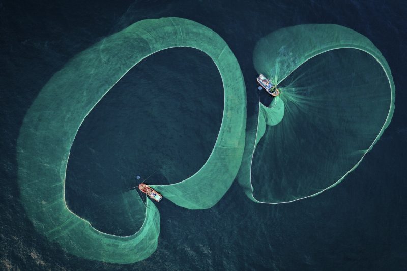 Лучшее фото в номинации «Сохранение морской среды». Thien Nguen Ngok / Underwater Photographer of the Year 2022.