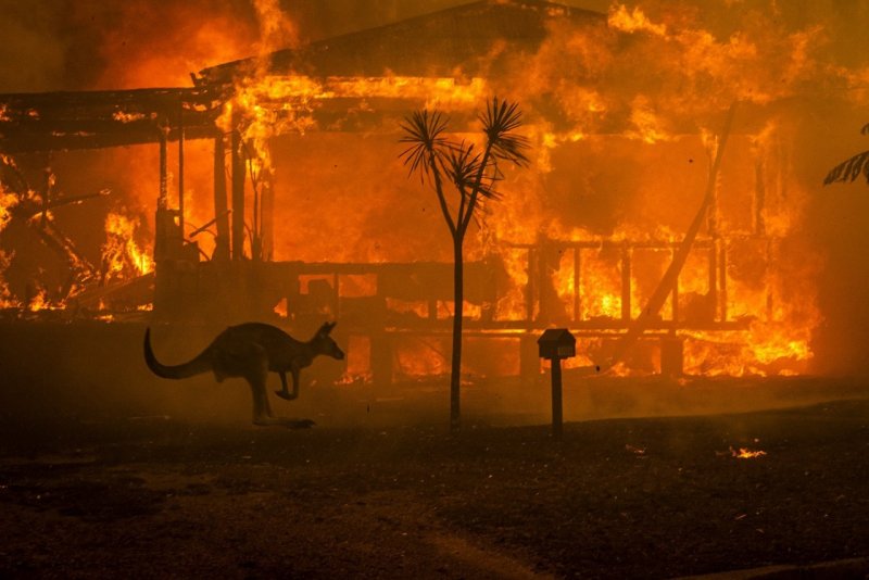 2 место в категории «Срочные новости», 2020. Кенгуру пытается спастись от лесного пожара возле горящего дома в Новом Южном Уэльсе, Австралия. Автор Мэтью Эбботт.