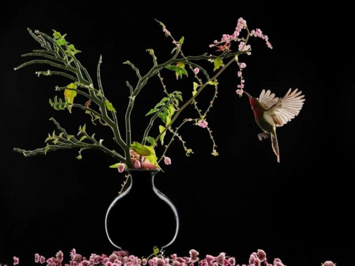 «Цветы и птица», автор Буди Гунавана. Категория «Натюрморт».