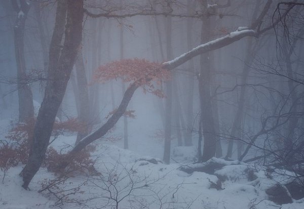 Зимние фото пейзажи из Крыма - №45