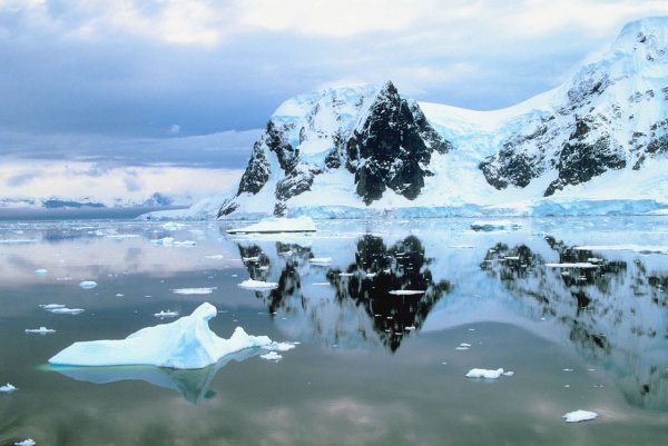 Загадочно спокойный мир Антарктиды - №14