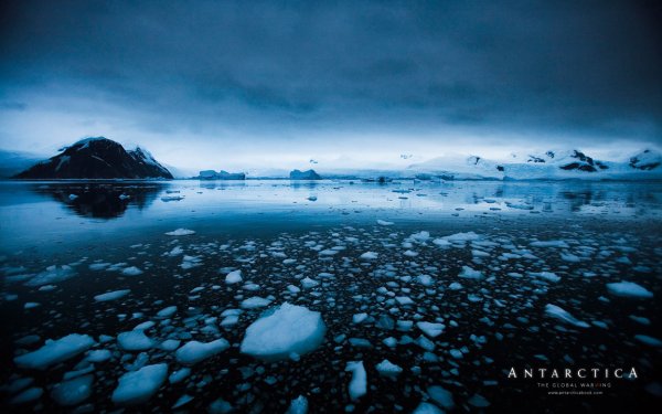Загадочно спокойный мир Антарктиды - №18