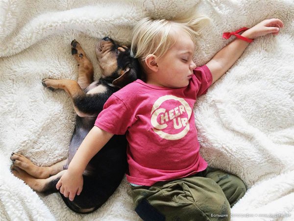 Милые дети и собачки - новый тренд Instagram - №4