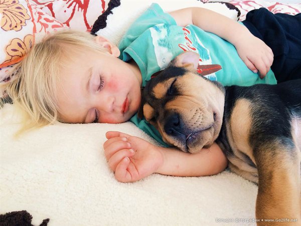 Милые дети и собачки - новый тренд Instagram - №8