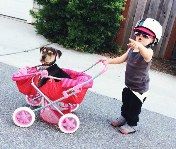 Милые дети и собачки - новый тренд Instagram - №12