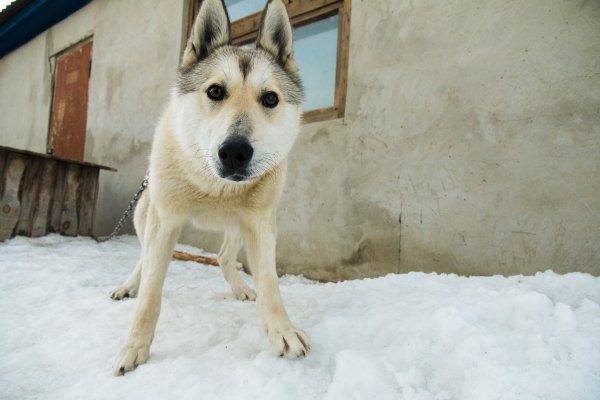 Сергей Смирнов