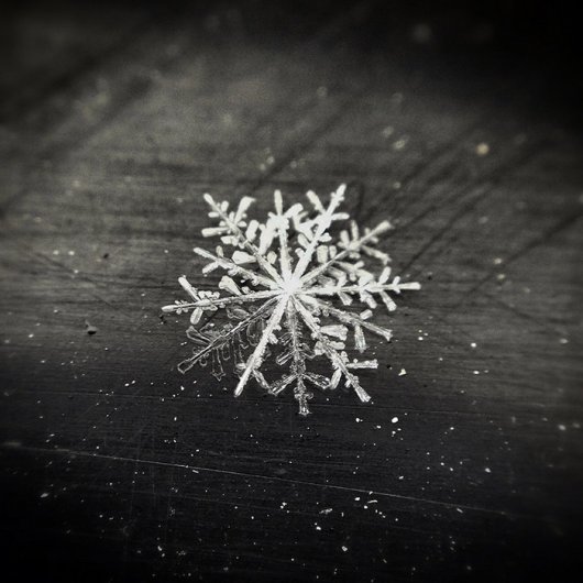 SNOWFLAKE by Andrew B. White