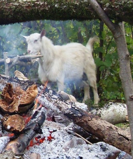 Горячий Ключ, КСП