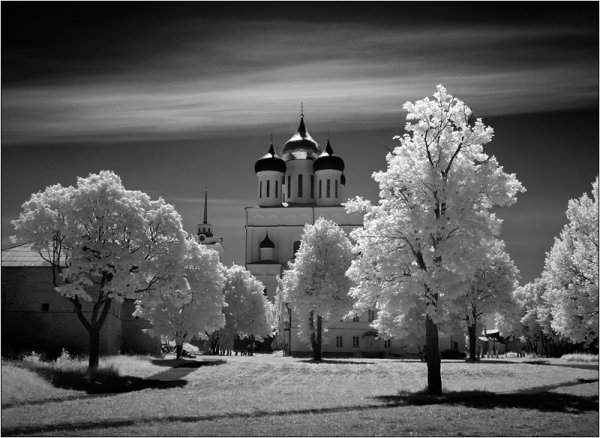 Фотограф Дмитрий Зверев (рубрика "Вдохновение") - №10