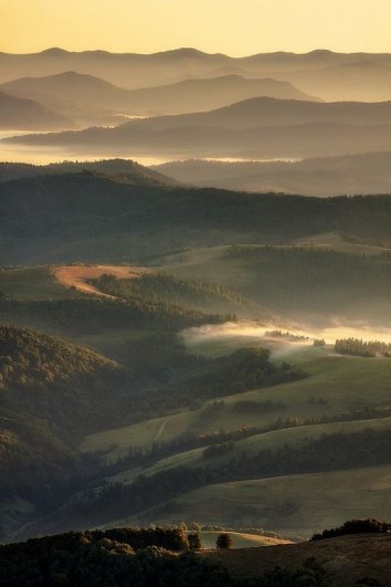 Андрій Кізима